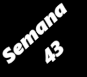 SEMANA43